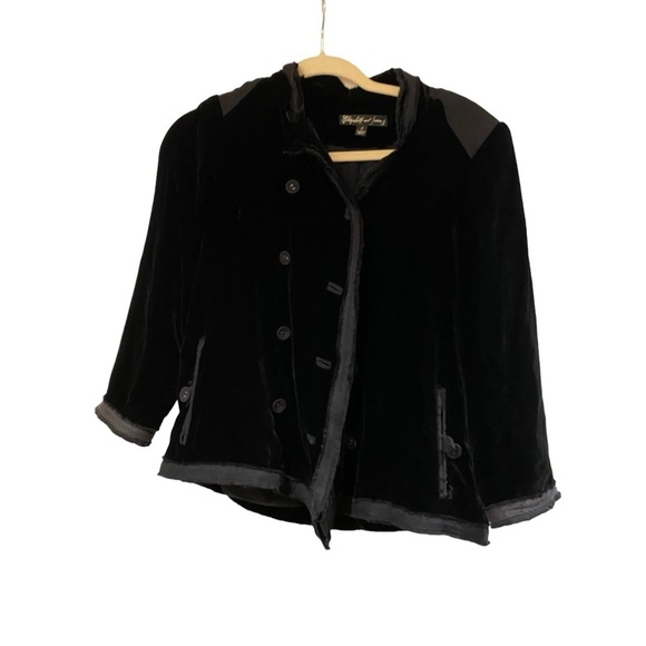 Elizabeth and James Jackets & Blazers - Elizabeth & james / black military double breast cropped crushed velvet jacket 2